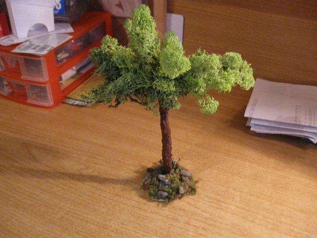 albero.jpg